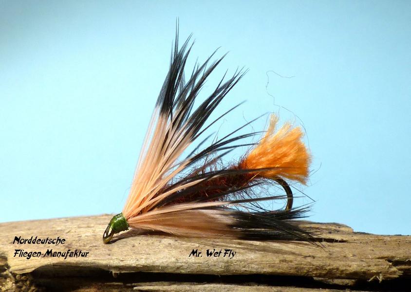 Forellenstreamer Variationen 0481.JPG