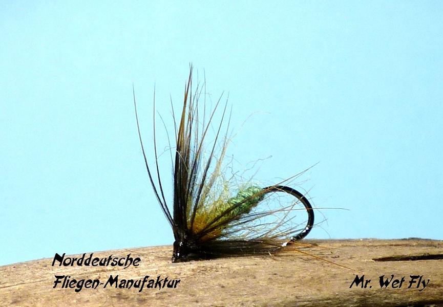 Wet Fly Variationen 0611.JPG