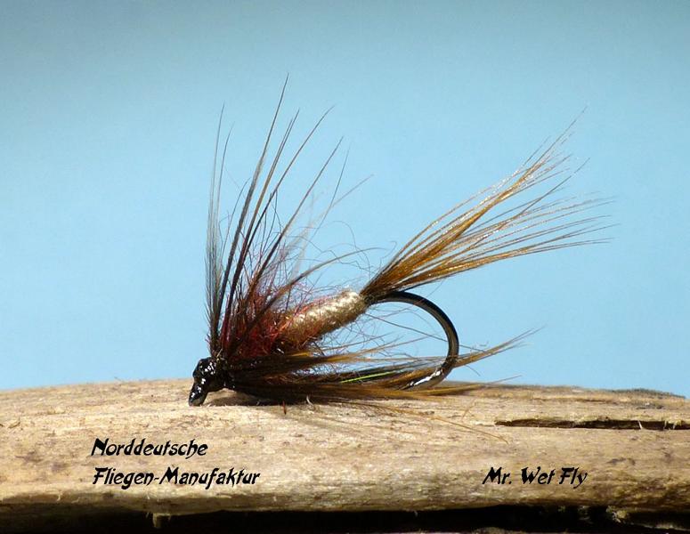 Wet Fly Variationen 0671.JPG