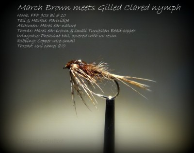 March brown flymph 014-001.jpg
