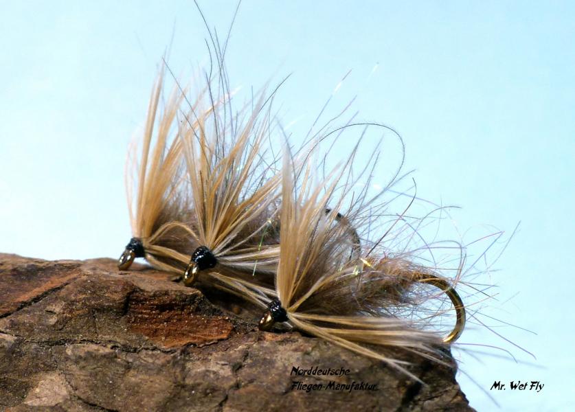 CDC Variationen 0111.JPG