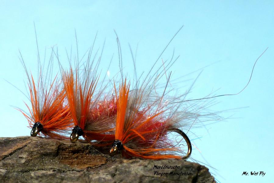 CDC Variationen 0131.JPG