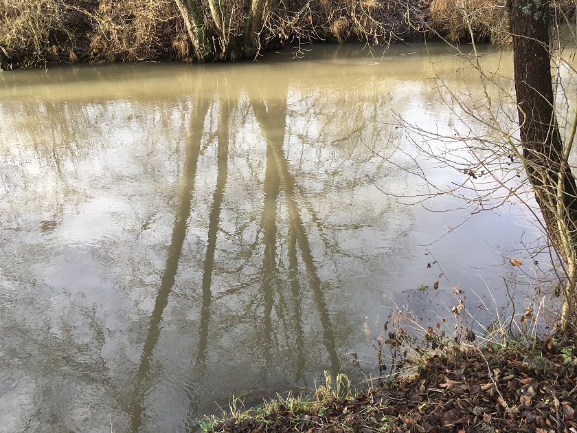 Forelleneier Fluss....JPG
