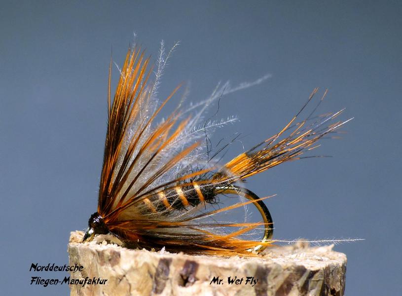 CDC Variationen 0161.JPG