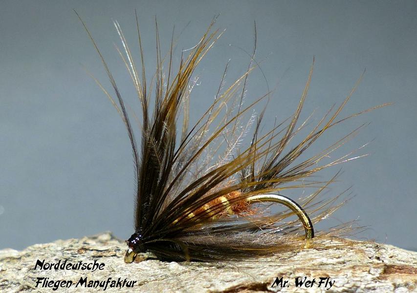 CDC Variationen 0181.JPG