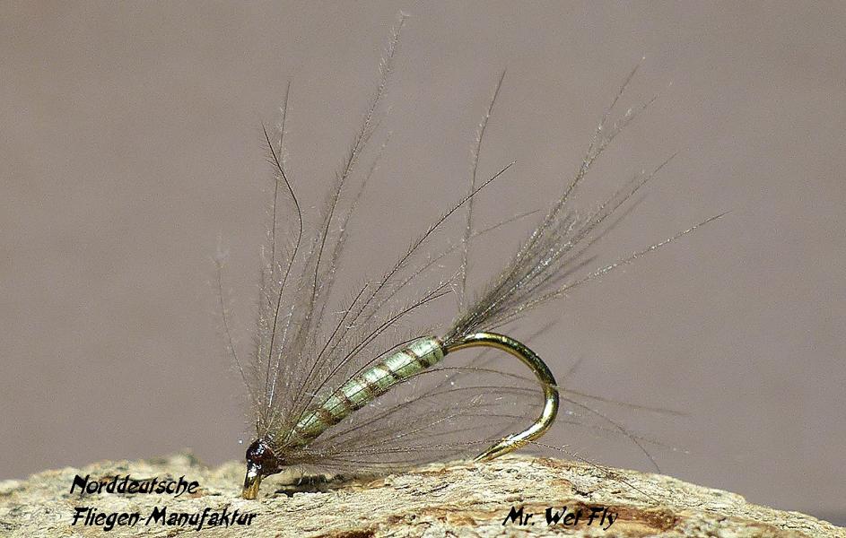 CDC Variationen 0211.JPG
