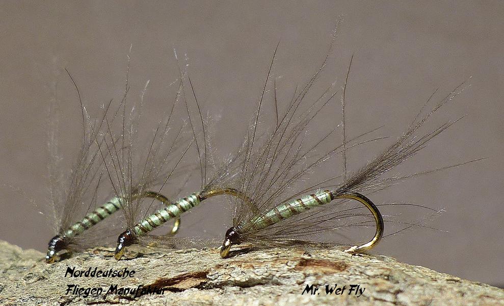 CDC Variationen 0221.JPG