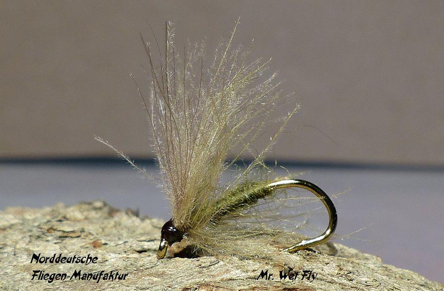 CDC Variationen 0231.JPG