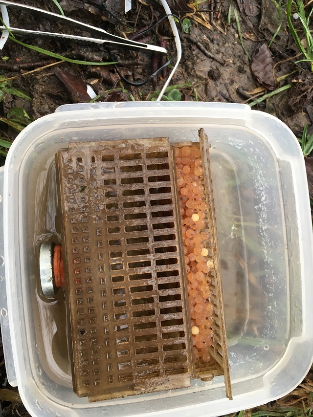 Rohr WV- Box ....JPG
