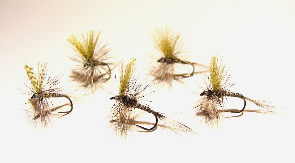 Kopie von DSCN4025.JPG