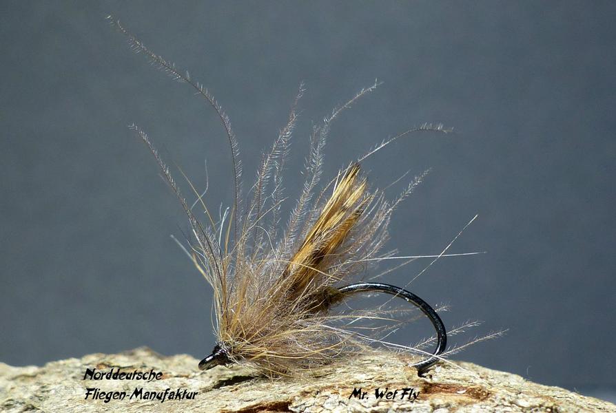 CDC Variationen 0331.JPG