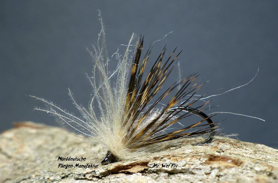 CDC Variationen 0351.JPG