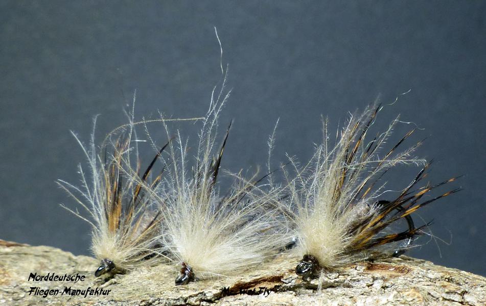 CDC Variationen 0361.JPG