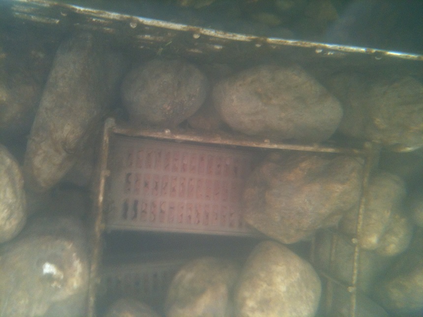 Korb WV- Box.JPG