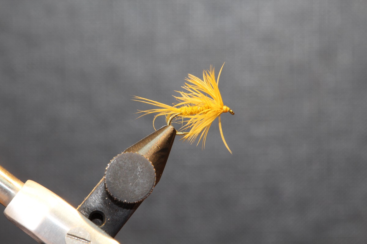 IMG_8850a.jpg