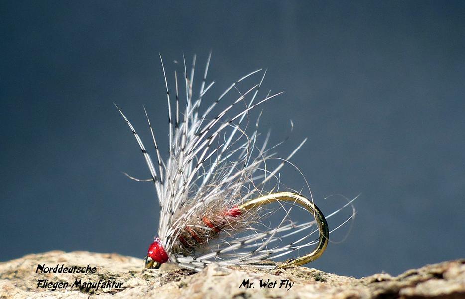 Wet Fly Variationen 0831.JPG