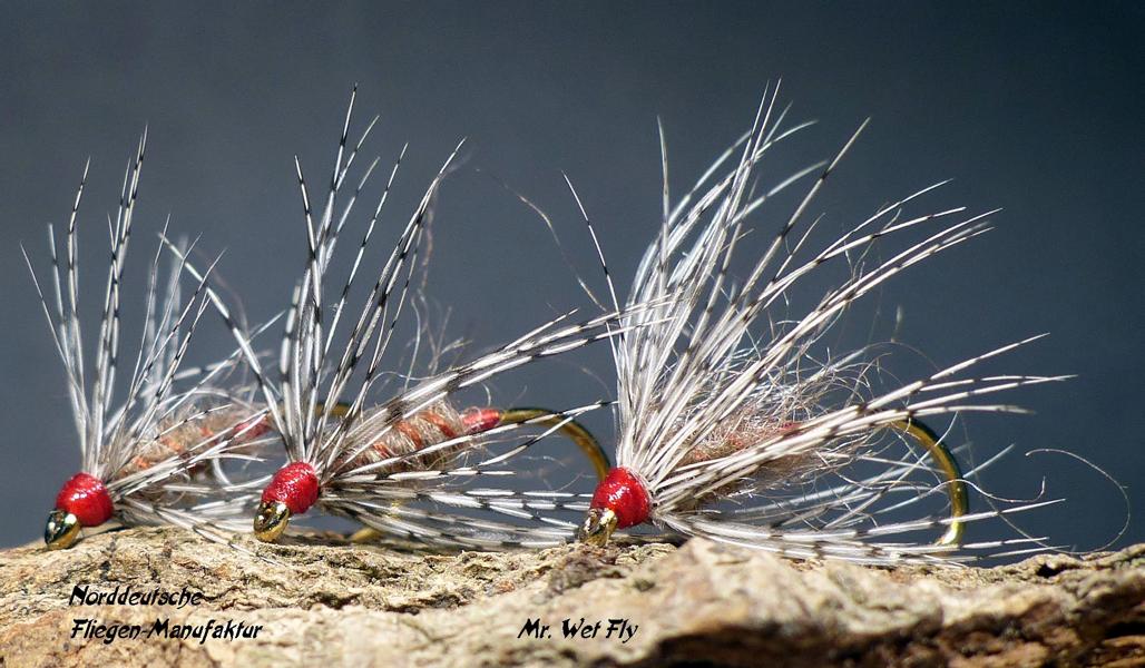 Wet Fly Variationen 0841.JPG
