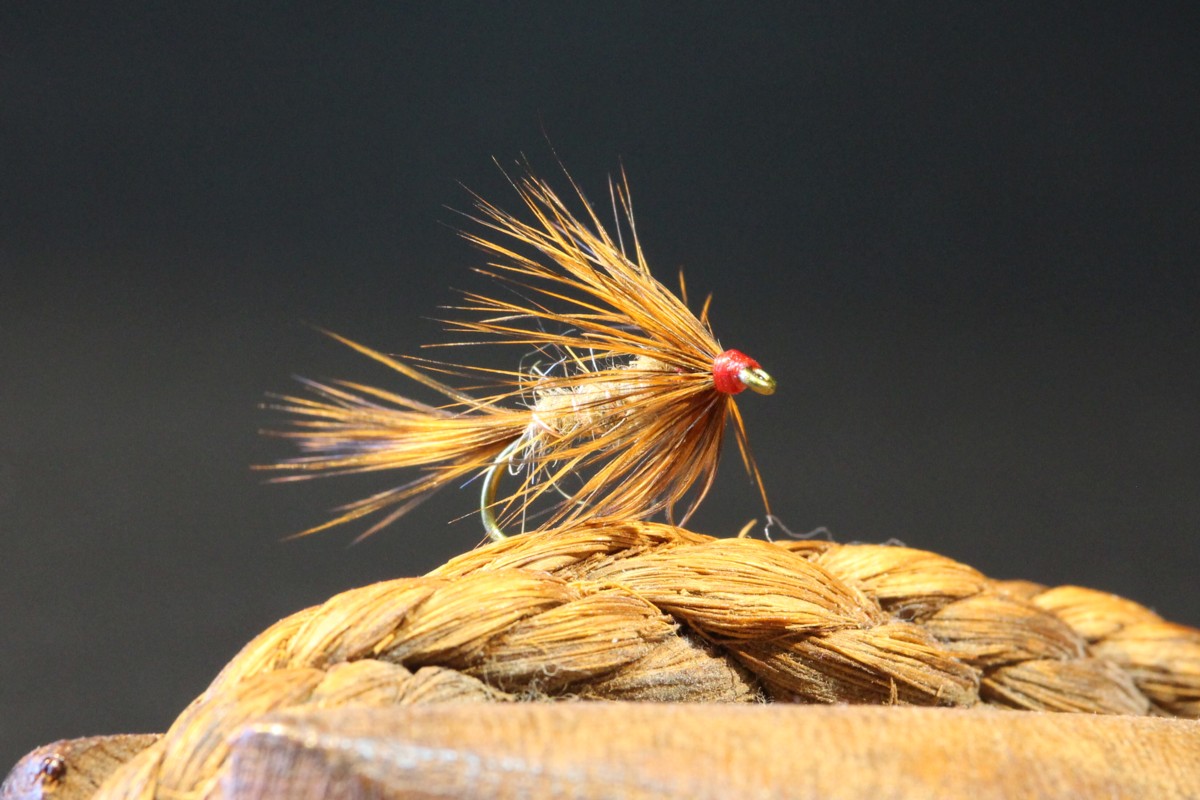 Wet Fly