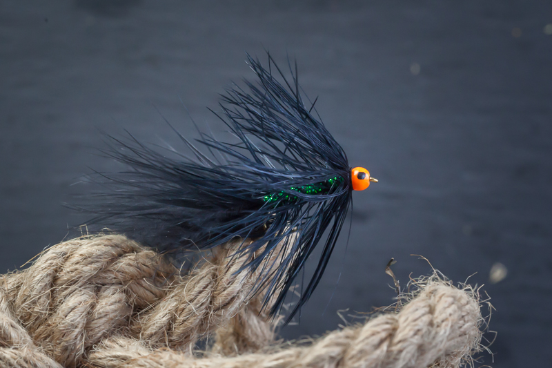Wooly.jpg