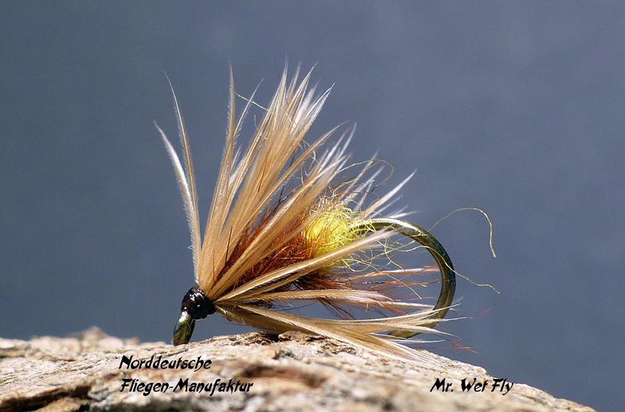 Soft Hackle Variationen 0181.JPG