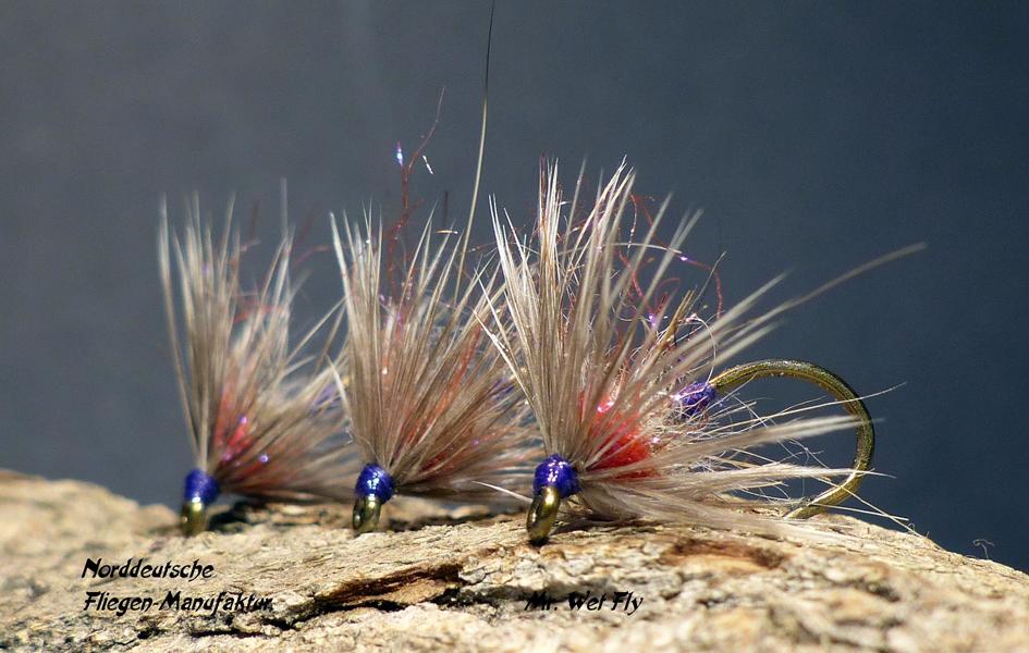 Wet Fly Variationen 0901.JPG