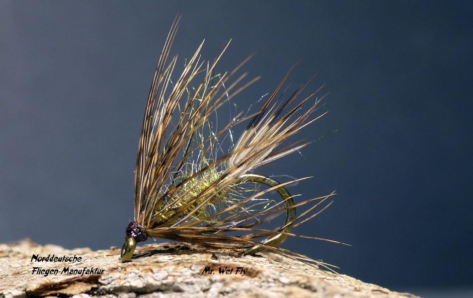 Wet Fly Variationen 0911.JPG