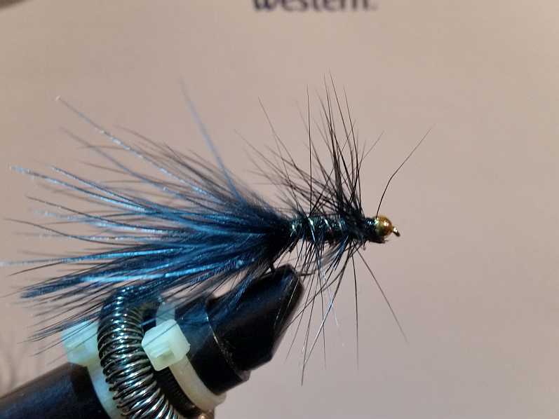 Wooly Bugger.jpg
