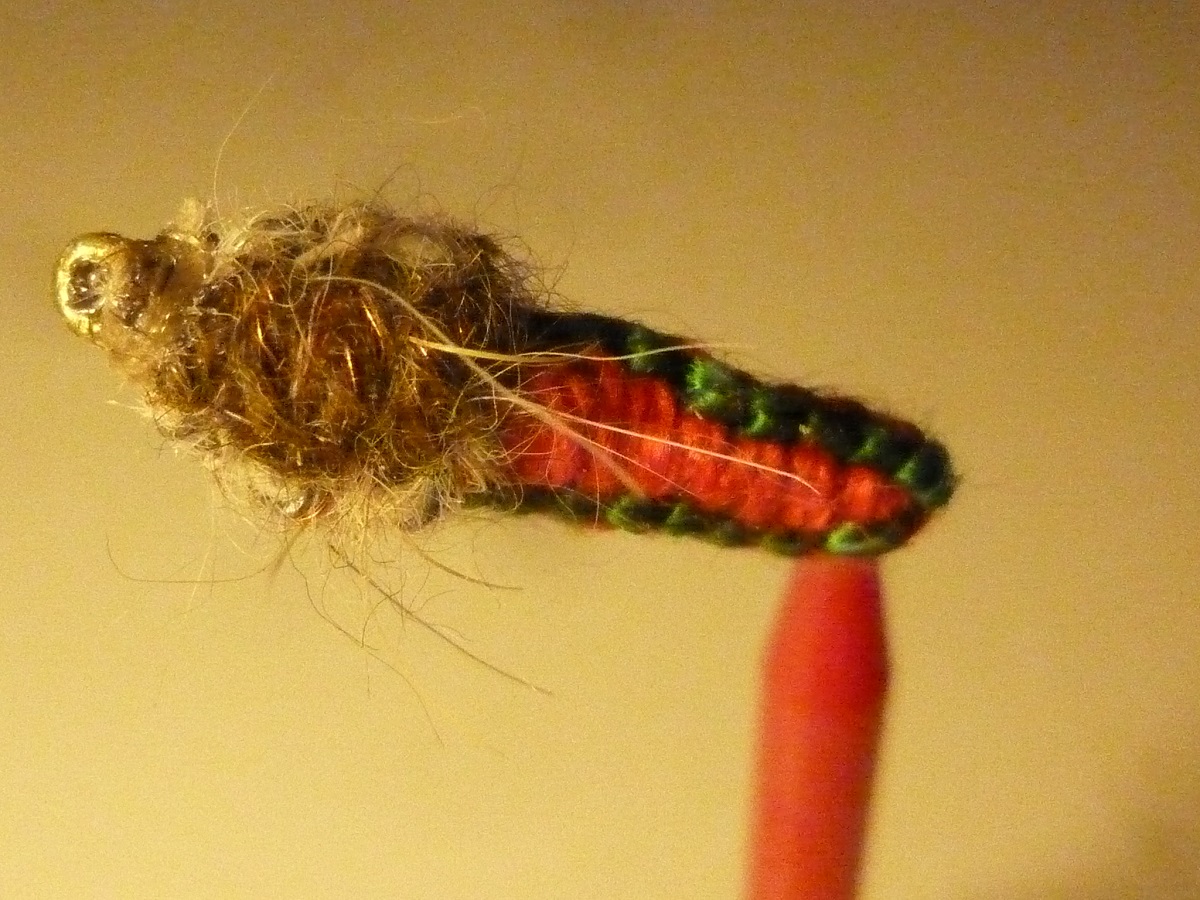 P1070341.JPG