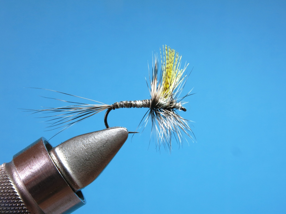 Die Catskill muss sich noch bewähren.