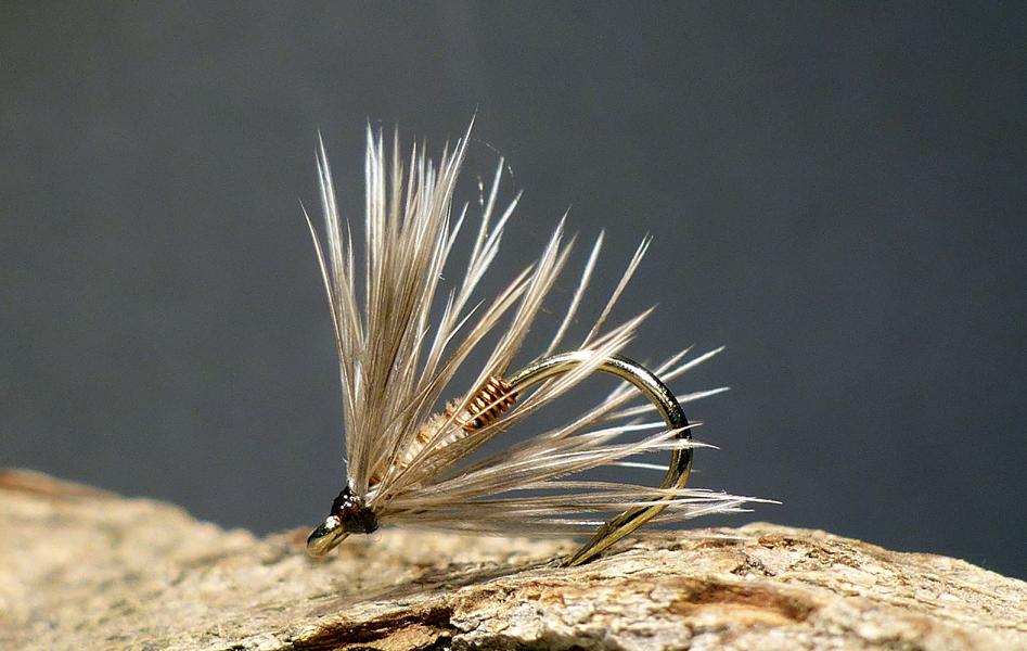 Soft Hackle Variationen 0241.JPG