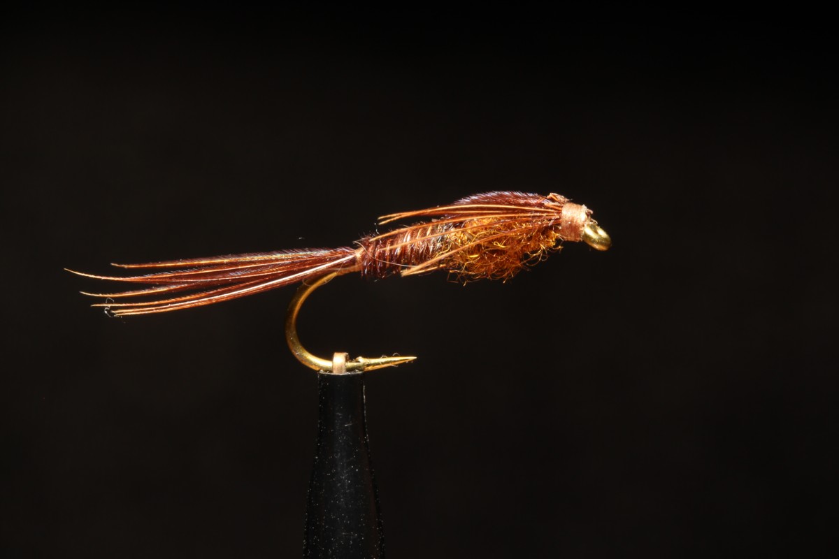 Pheasant Tail Nymph