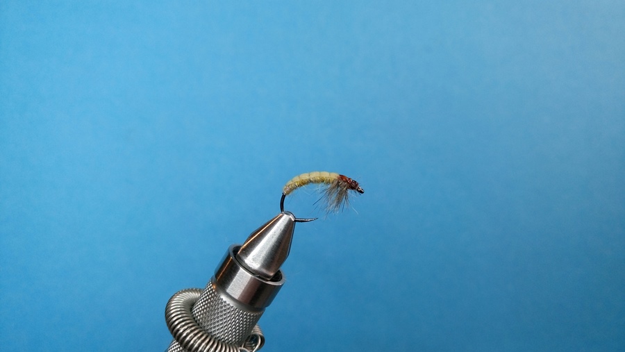czech caddis #10