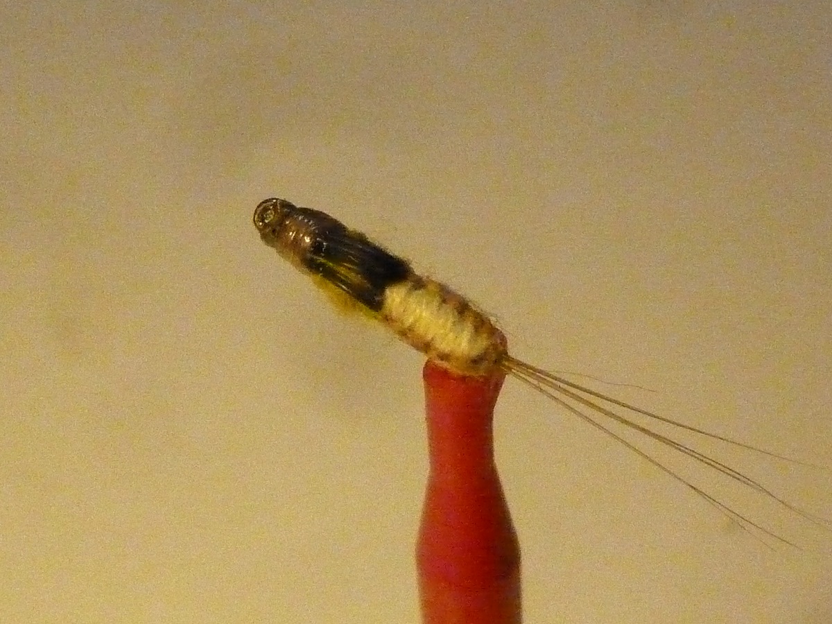 P1070360.JPG
