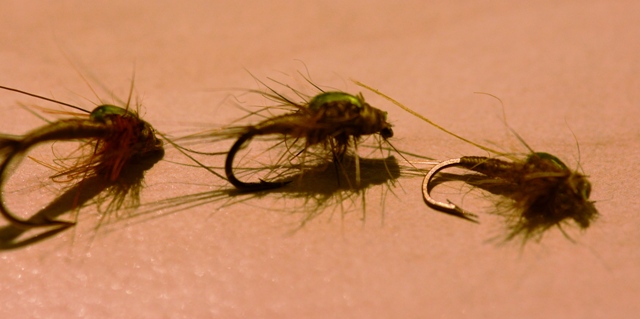 Baetis Rhodani