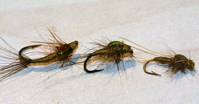 Baetis Rhodani