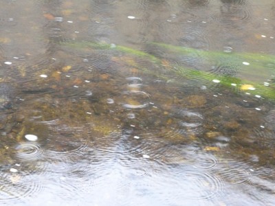 mit viel Fantasie...