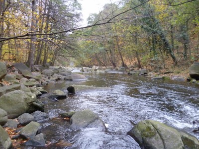 P1010862 (800x600).jpg