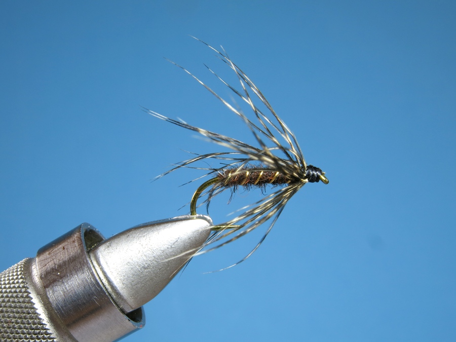 IMG_6319 - Kopie.JPG