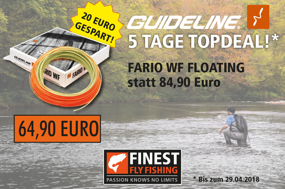 gl_topdeal_fario_fff.jpg