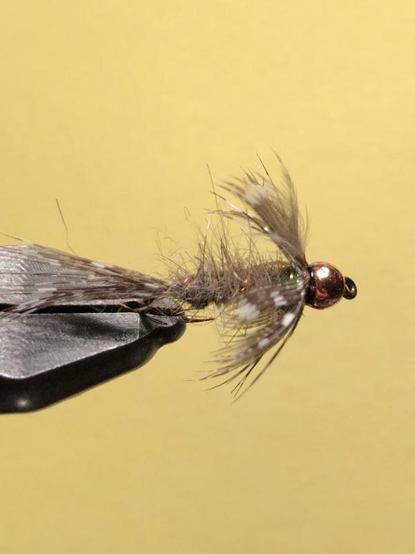 Perlhuhn Kupfer1.JPG