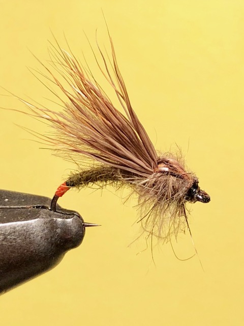 Aufsteiger 12 Haken2 .JPG