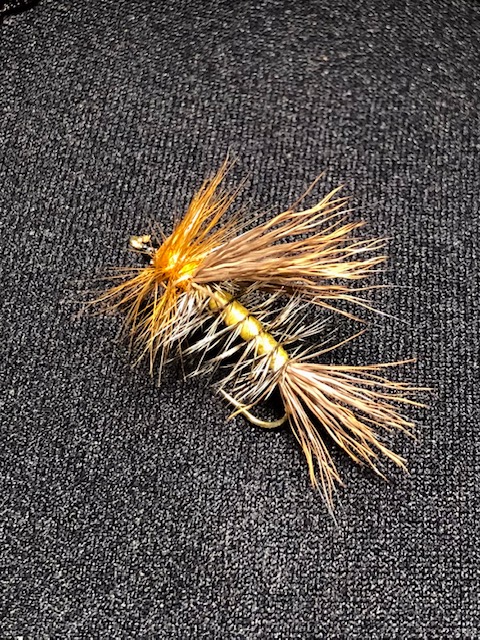 Stimulator Attraktor.jpg