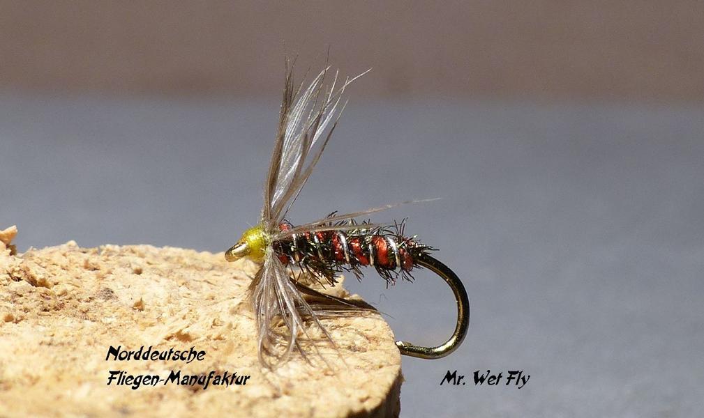 Spider Variationen 0101.JPG