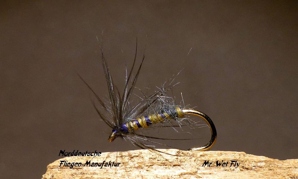 Spider Variationen 0111.JPG