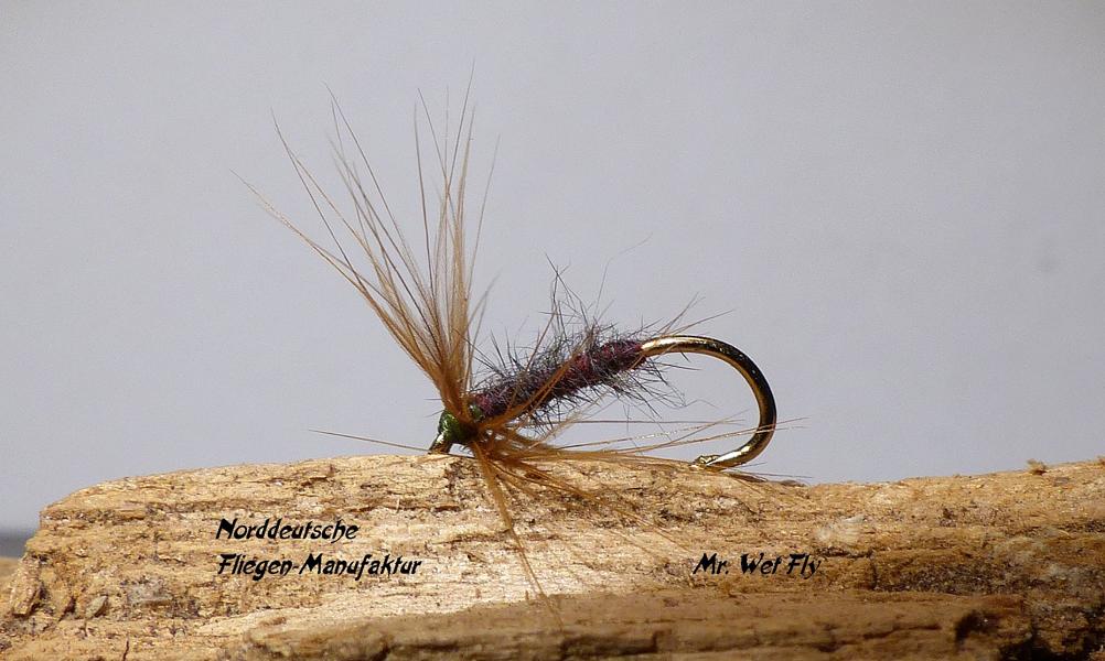 Spider Variationen 0121.JPG