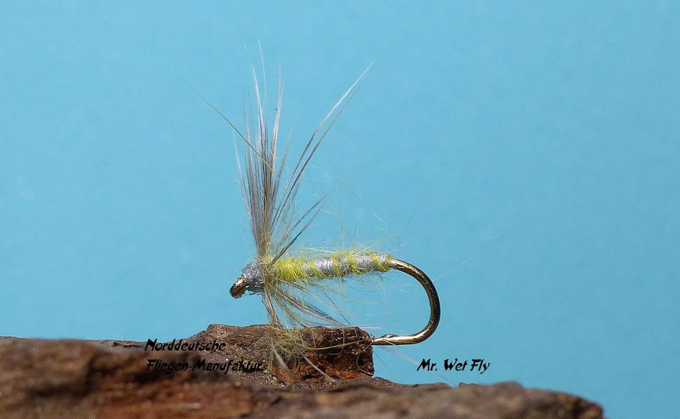 Spider Variationen 0131.JPG