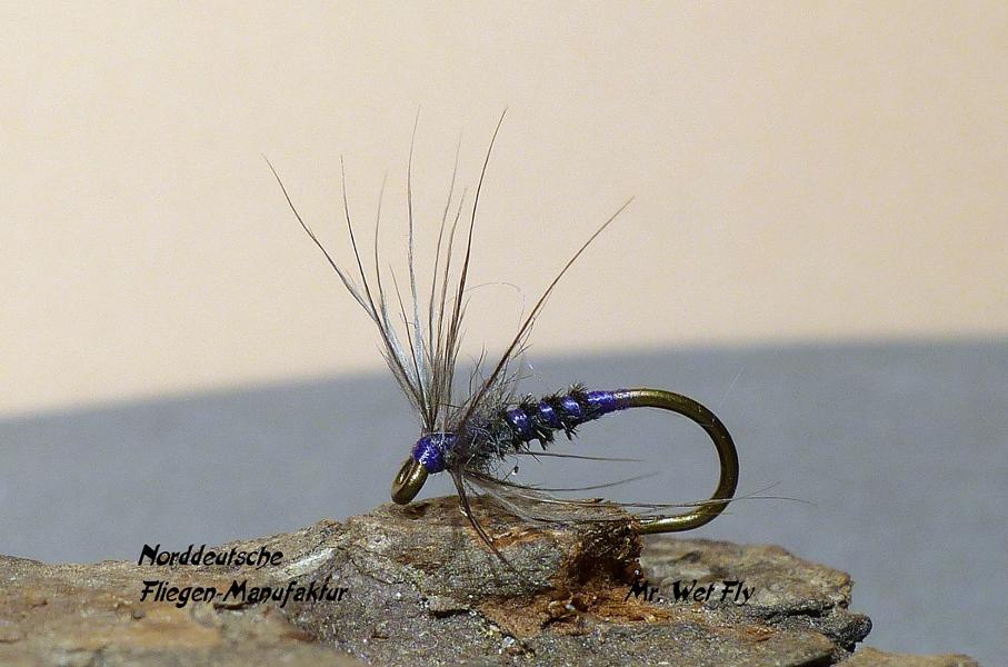 Spider Variationen 0141.JPG