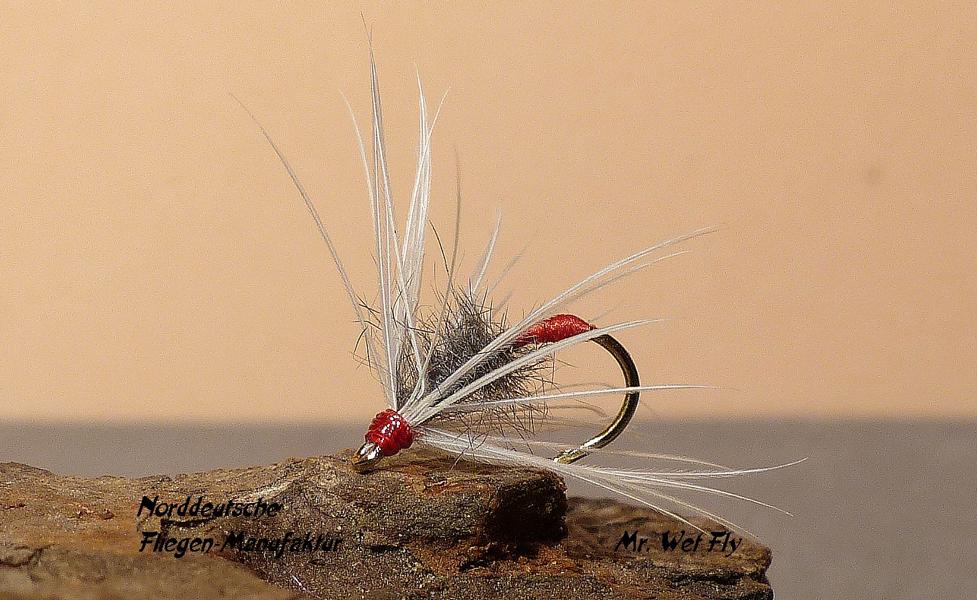 Red Tag Variationen 0151.JPG