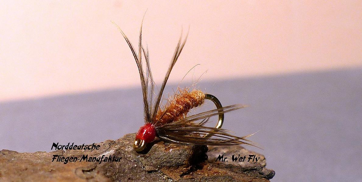 Spider Variationen 0151.JPG