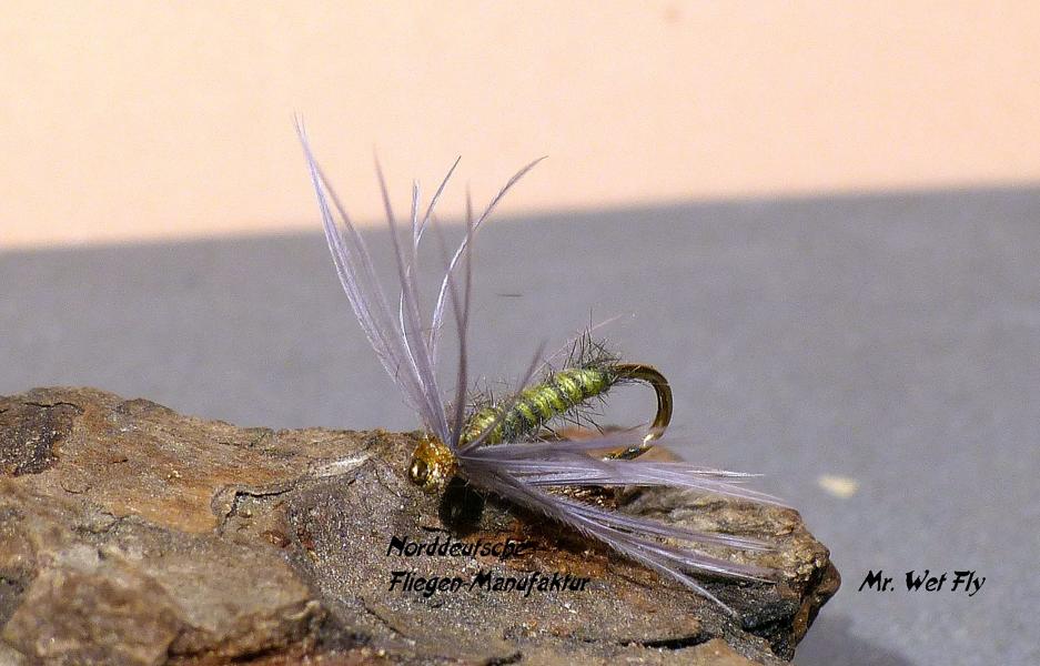 Spider Variationen 0171.JPG